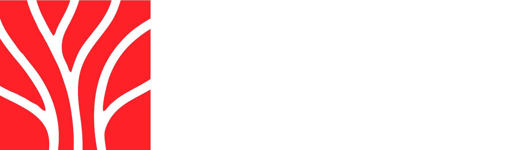 Roots Branding Logo